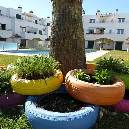 Flor